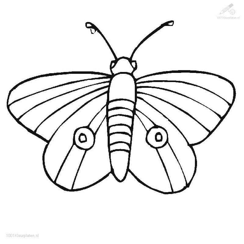 Butterfly Coloring Pages Kids 8 Dltk